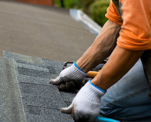 Best Metal Roofing Contractor  in Wilderness Rim, WA